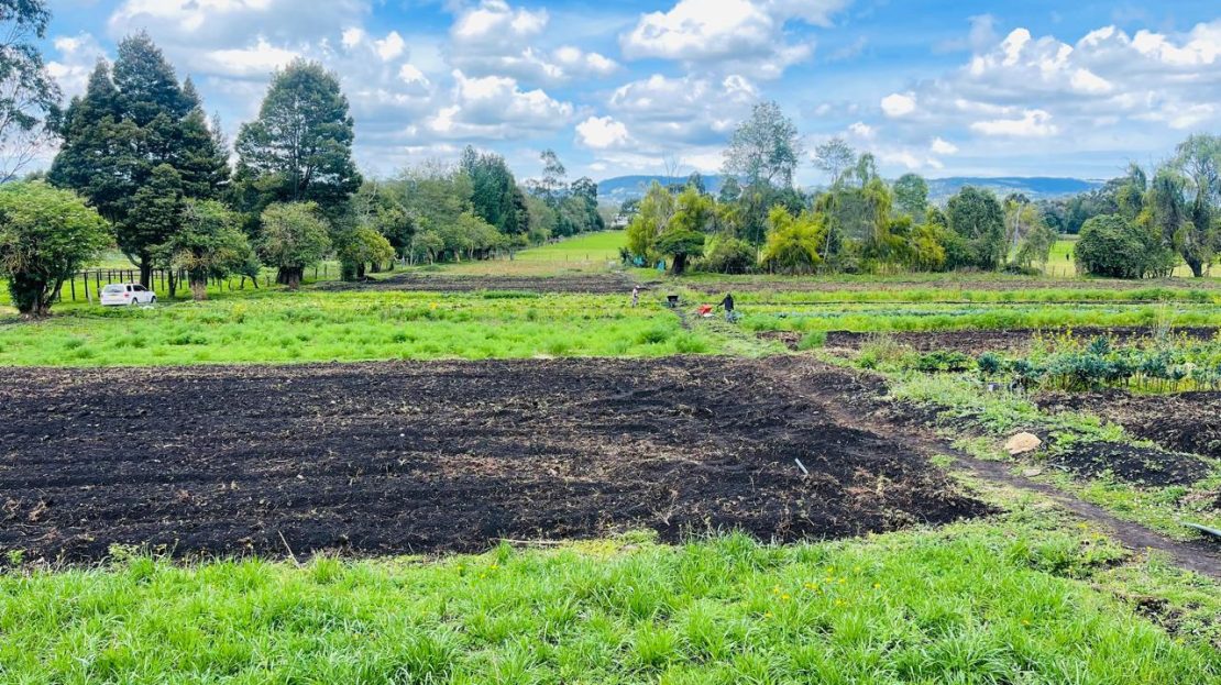 WhatsApp Image 2024 11 27 at 21.24.04