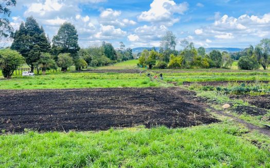 WhatsApp Image 2024 11 27 at 21.24.04