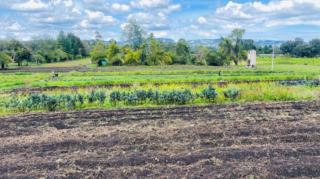 WhatsApp Image 2024 11 27 at 21.24.05