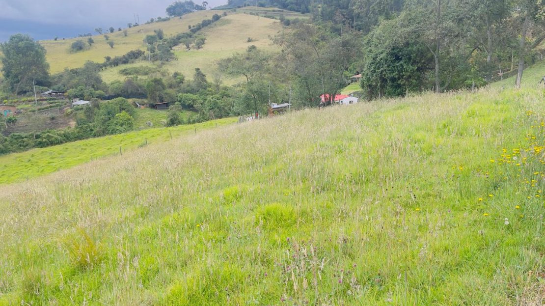 WhatsApp Image 2025 04 05 at 10.09.57 AM 1