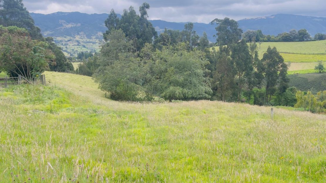 WhatsApp Image 2025 04 05 at 10.09.57 AM 3