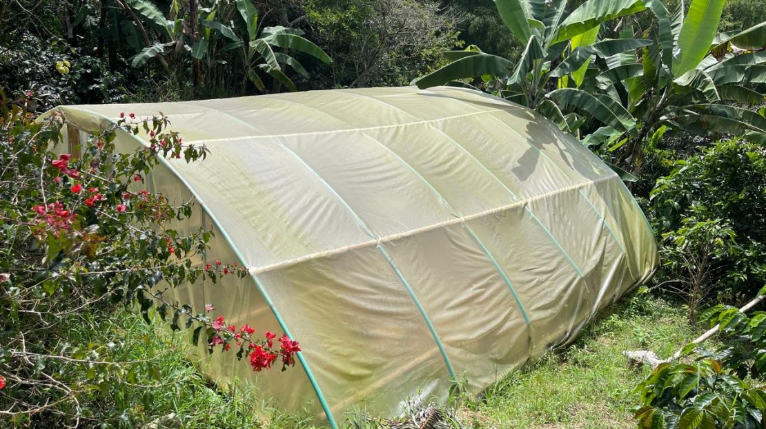 WhatsApp Image 2025 05 15 at 20.41.37 4