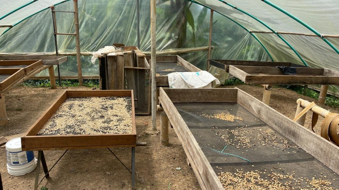 WhatsApp Image 2025 05 15 at 20.41.37 5