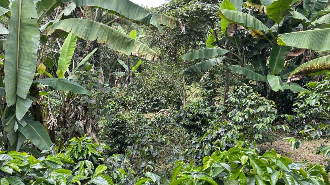 WhatsApp Image 2025 05 15 at 20.41.42 3