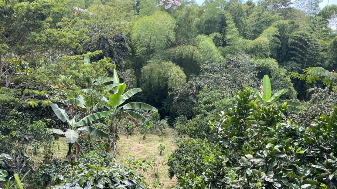 WhatsApp Image 2025 05 15 at 20.41.43 4