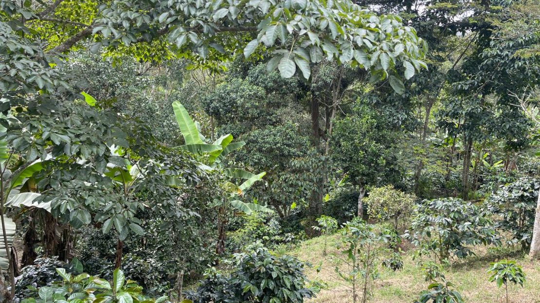 WhatsApp Image 2025 05 15 at 20.41.43 5