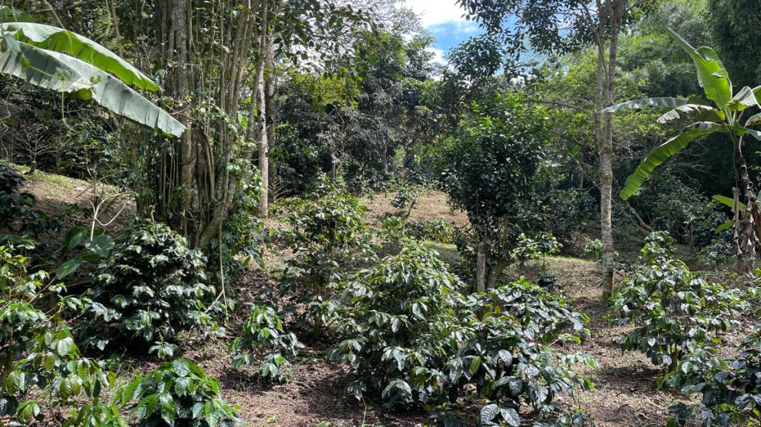 WhatsApp Image 2025 05 15 at 20.41.44 5