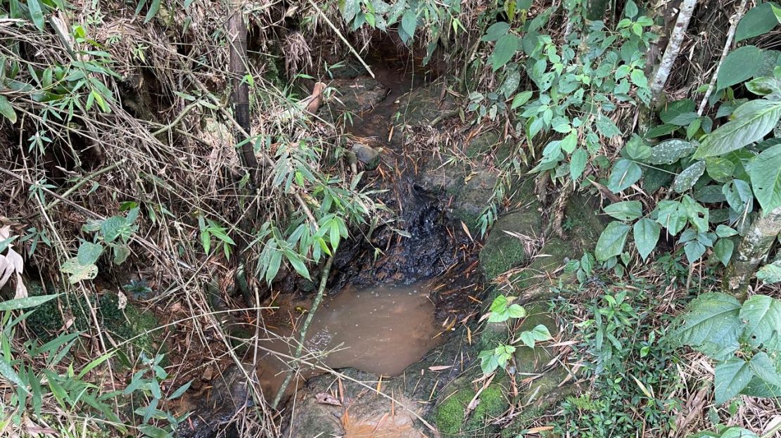 WhatsApp Image 2025 05 15 at 20.41.44 6