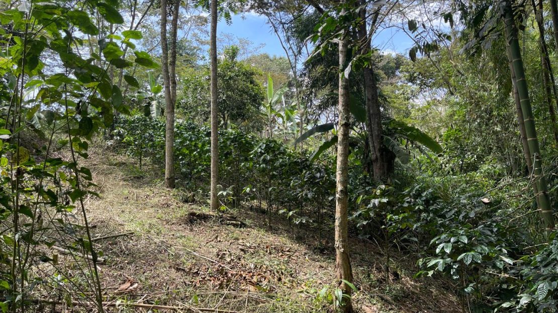 WhatsApp Image 2025 05 15 at 20.41.44 7