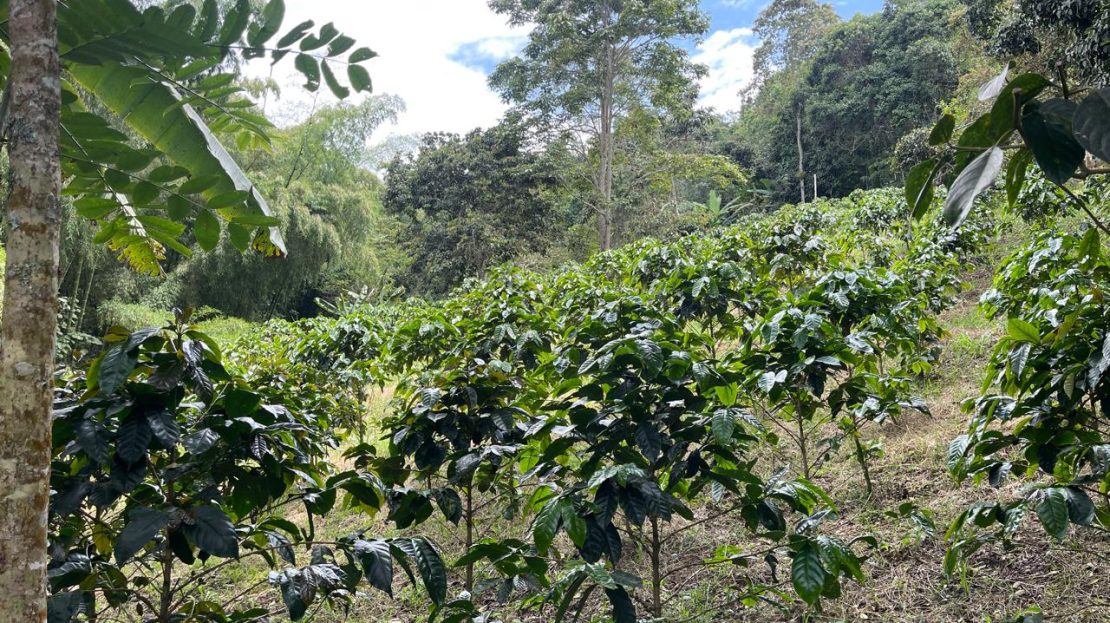 WhatsApp Image 2025 05 15 at 20.41.45 7