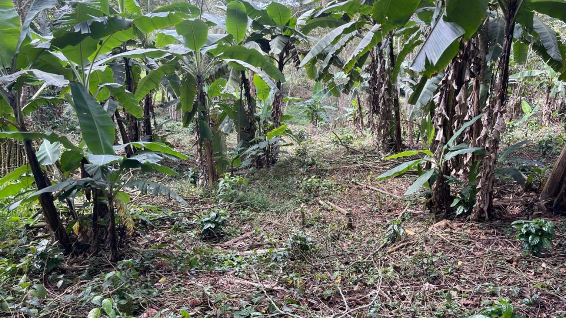 WhatsApp Image 2025 05 15 at 20.41.46 1