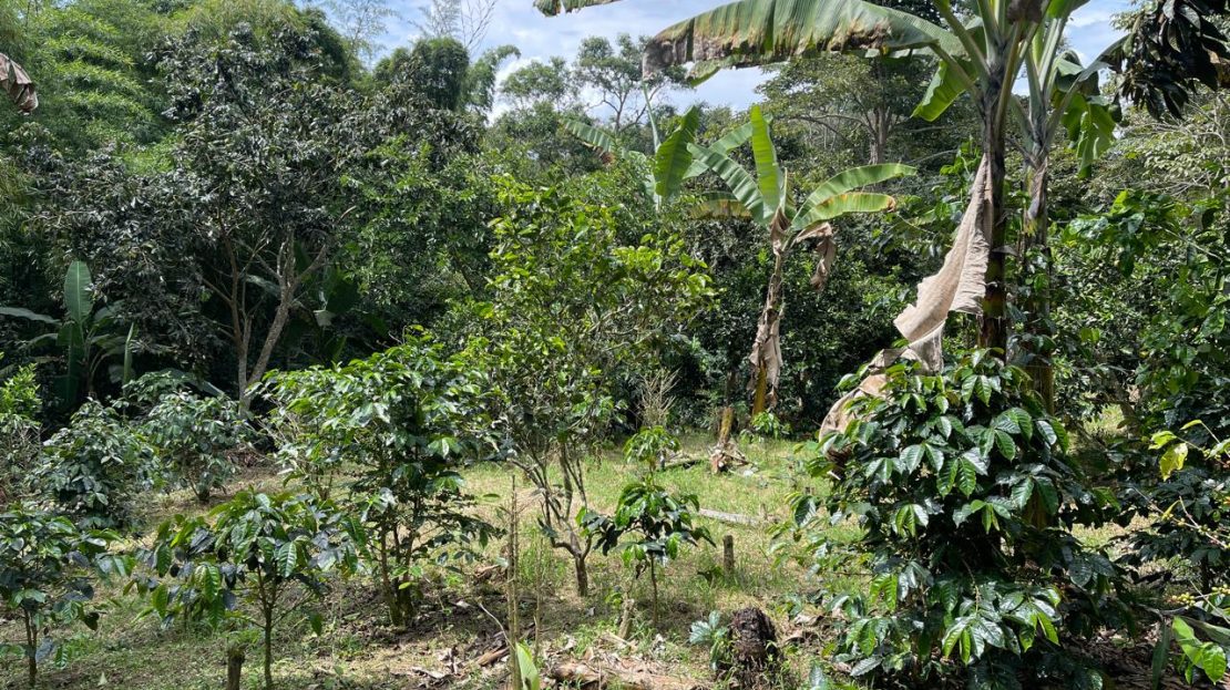 WhatsApp Image 2025 05 15 at 20.41.46 3