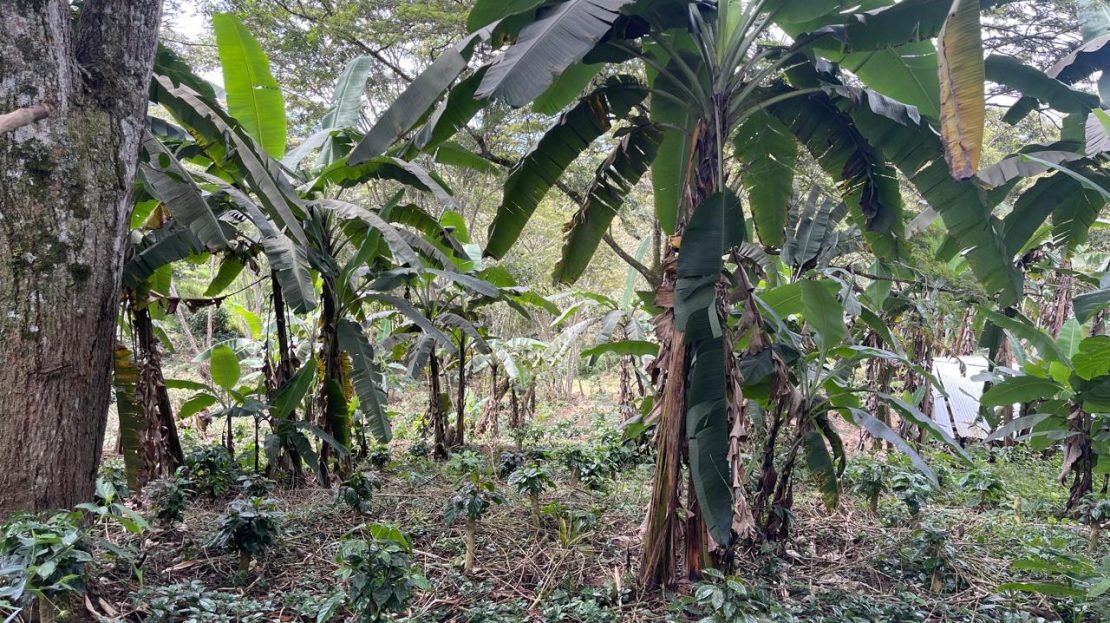 WhatsApp Image 2025 05 15 at 20.41.46 4