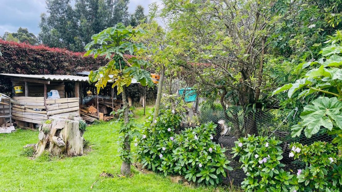 WhatsApp Image 2025 05 27 at 9.43.49 AM 1