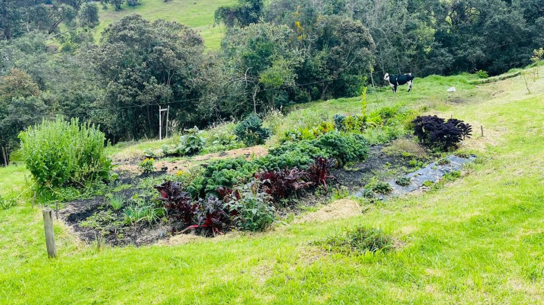 WhatsApp Image 2025 05 27 at 9.43.49 AM 6