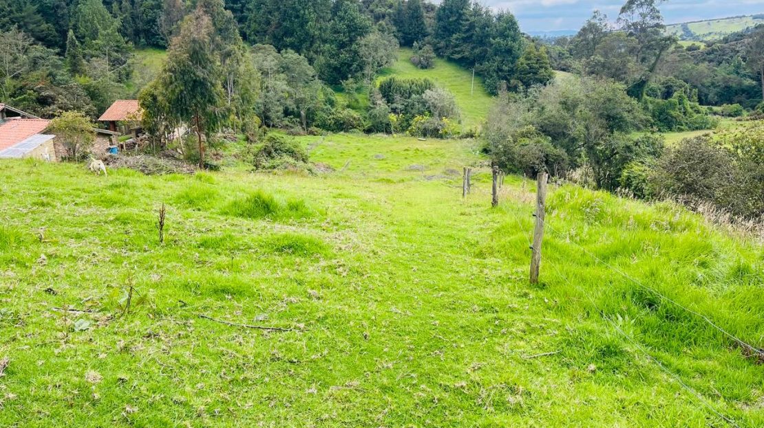 WhatsApp Image 2025 05 27 at 9.43.49 AM 7