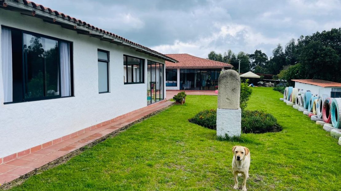 WhatsApp Image 2025 05 27 at 9.43.50 AM