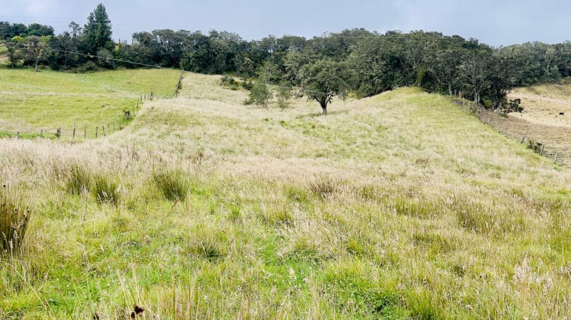 WhatsApp Image 2025 06 06 at 1.20.50 PM 1 1