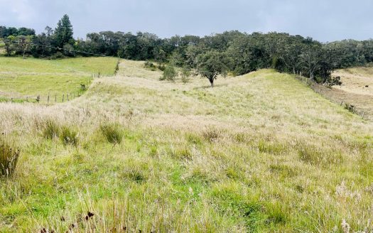 WhatsApp Image 2025 06 06 at 1.20.50 PM 1 1