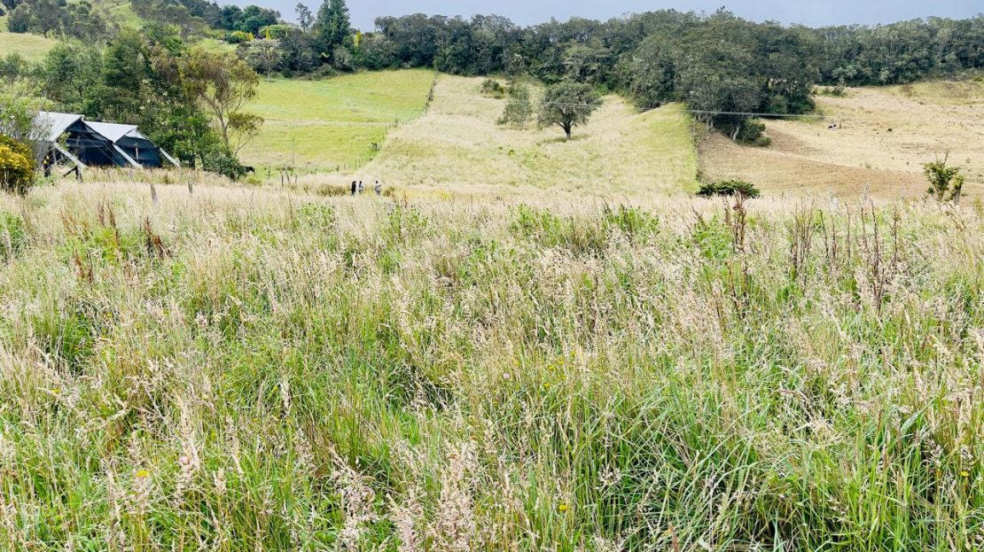 WhatsApp Image 2025 06 06 at 1.20.50 PM 2