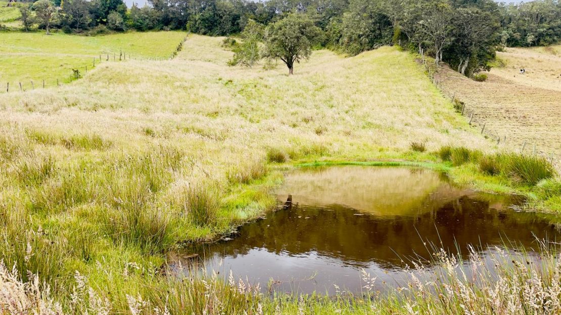 WhatsApp Image 2025 06 06 at 1.20.50 PM 3