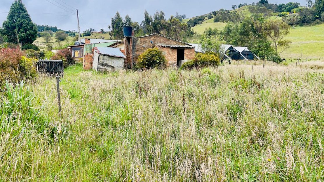 WhatsApp Image 2025 06 06 at 1.20.50 PM 5