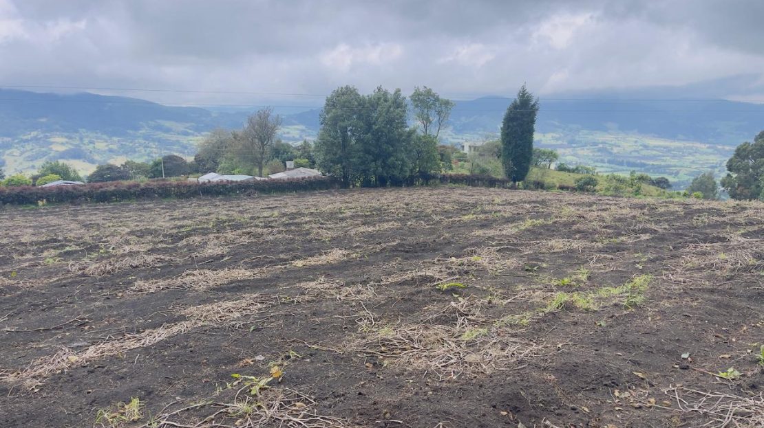 WhatsApp Image 2025 06 06 at 11.15.08 AM 1