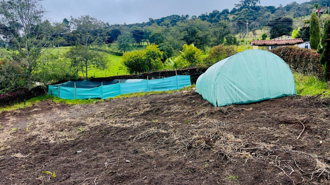 WhatsApp Image 2025 06 06 at 11.41.28 AM