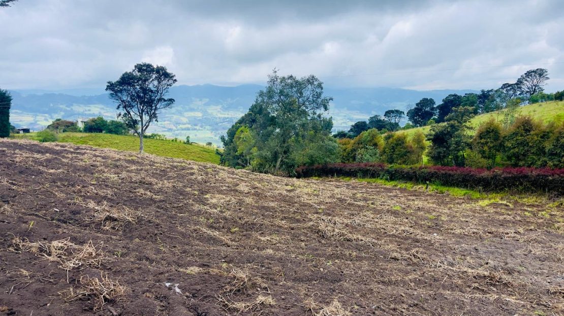 WhatsApp Image 2025 06 06 at 11.41.29 AM 1