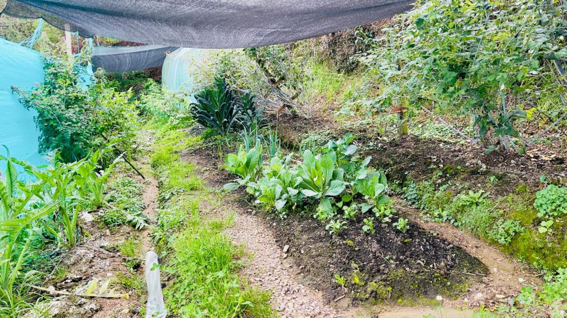 WhatsApp Image 2025 06 06 at 11.41.29 AM