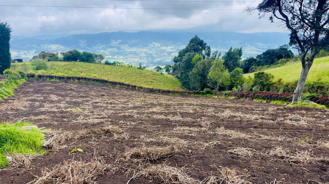 WhatsApp Image 2025 06 06 at 11.41.29 AM 2