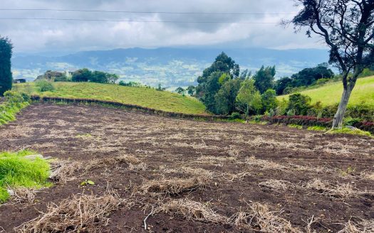 WhatsApp Image 2025 06 06 at 11.41.29 AM 2