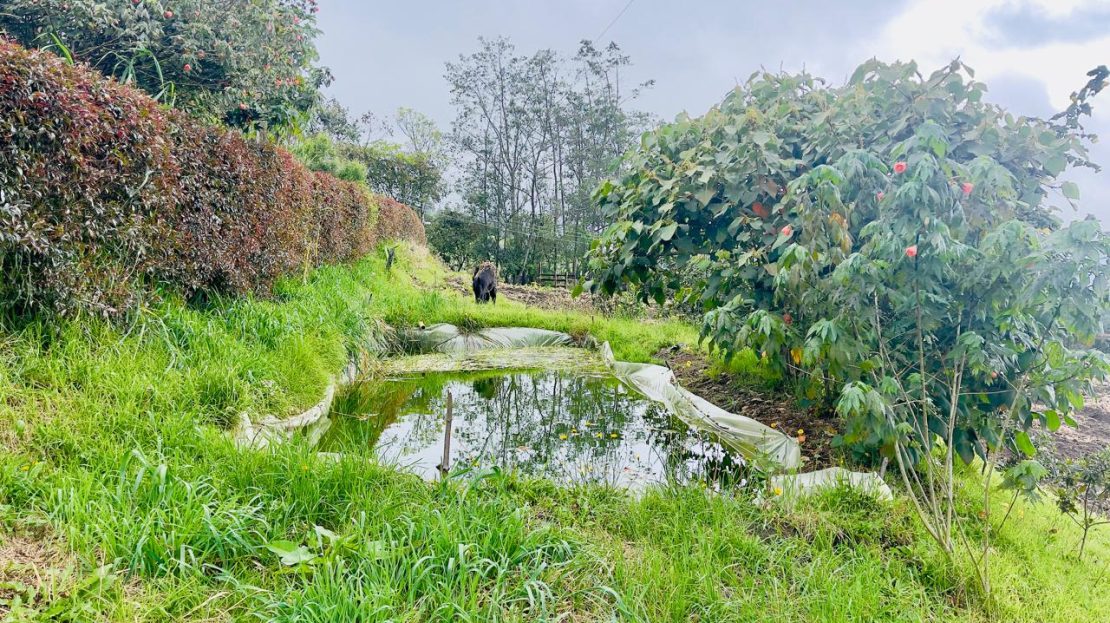 WhatsApp Image 2025 06 06 at 11.41.29 AM 3