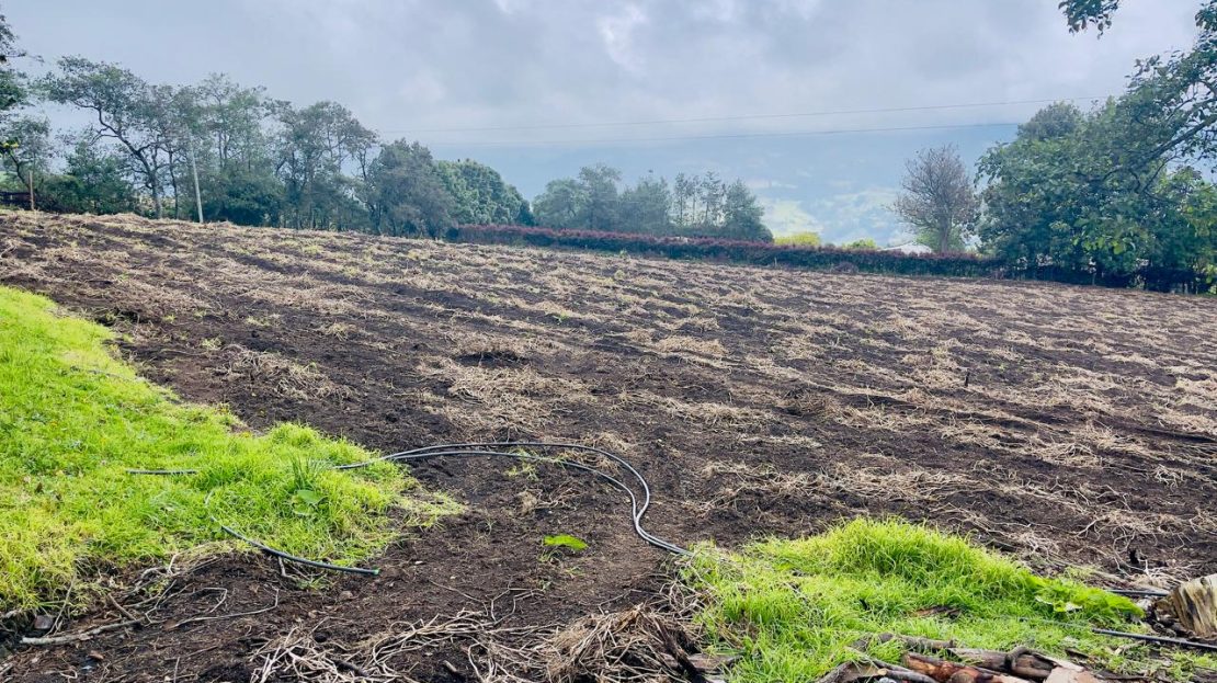 WhatsApp Image 2025 06 06 at 11.41.29 AM 4