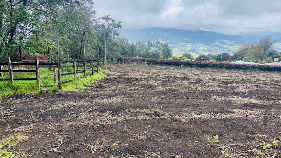 WhatsApp Image 2025 06 06 at 11.41.30 AM 10