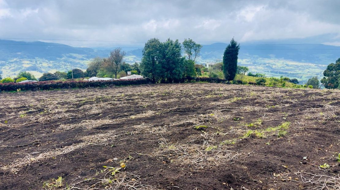 WhatsApp Image 2025 06 06 at 11.41.30 AM 11