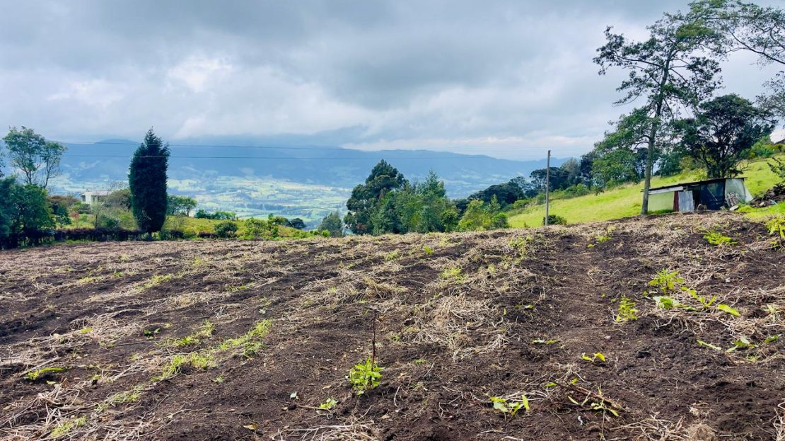 WhatsApp Image 2025 06 06 at 11.41.30 AM 12