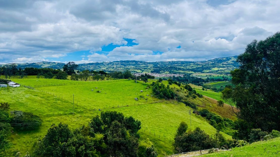 WhatsApp Image 2025 06 06 at 12.21.11 PM 3