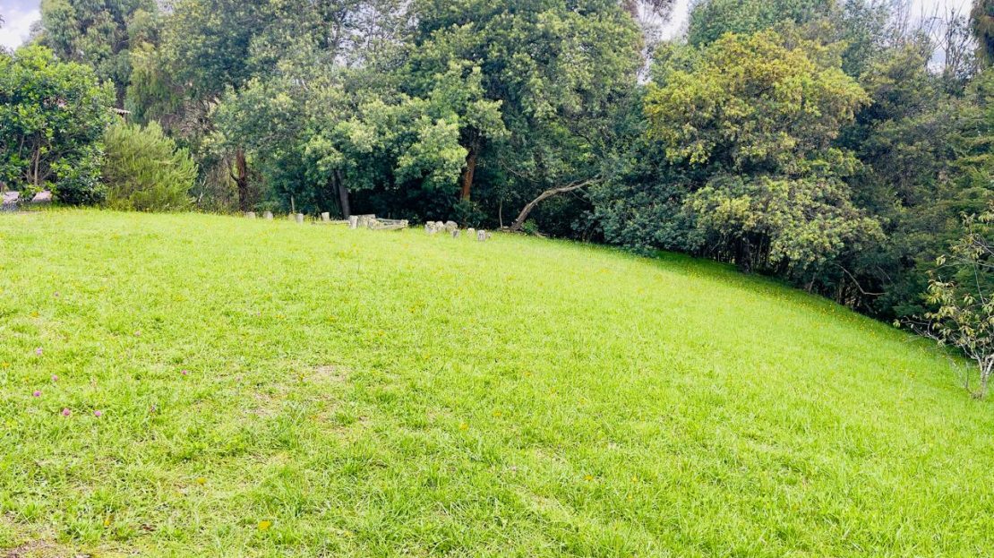 WhatsApp Image 2025 06 16 at 22.22.09