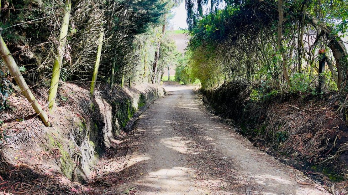 WhatsApp Image 2025 06 16 at 22.22.12 1