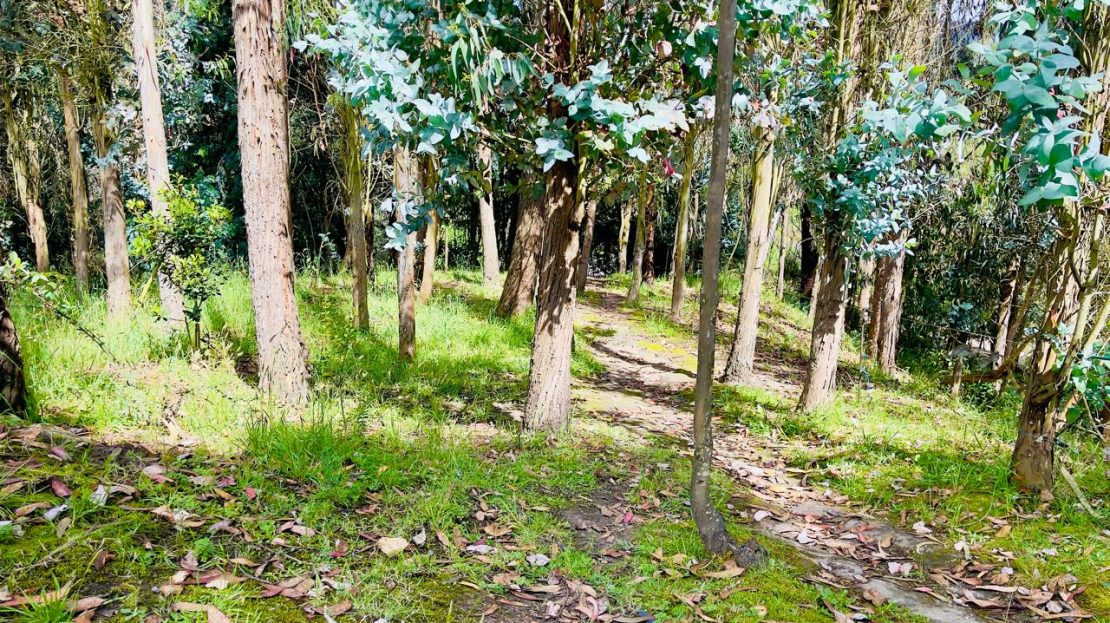 WhatsApp Image 2025 06 16 at 22.22.12 15