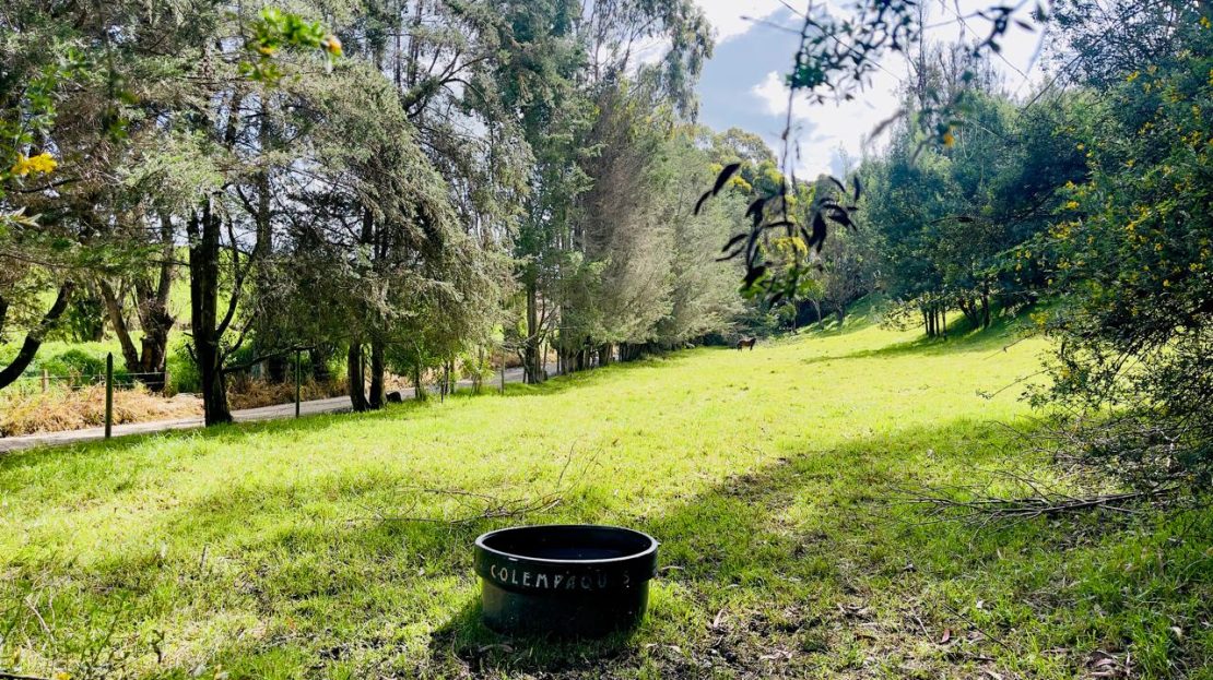 WhatsApp Image 2025 06 16 at 22.22.12 18