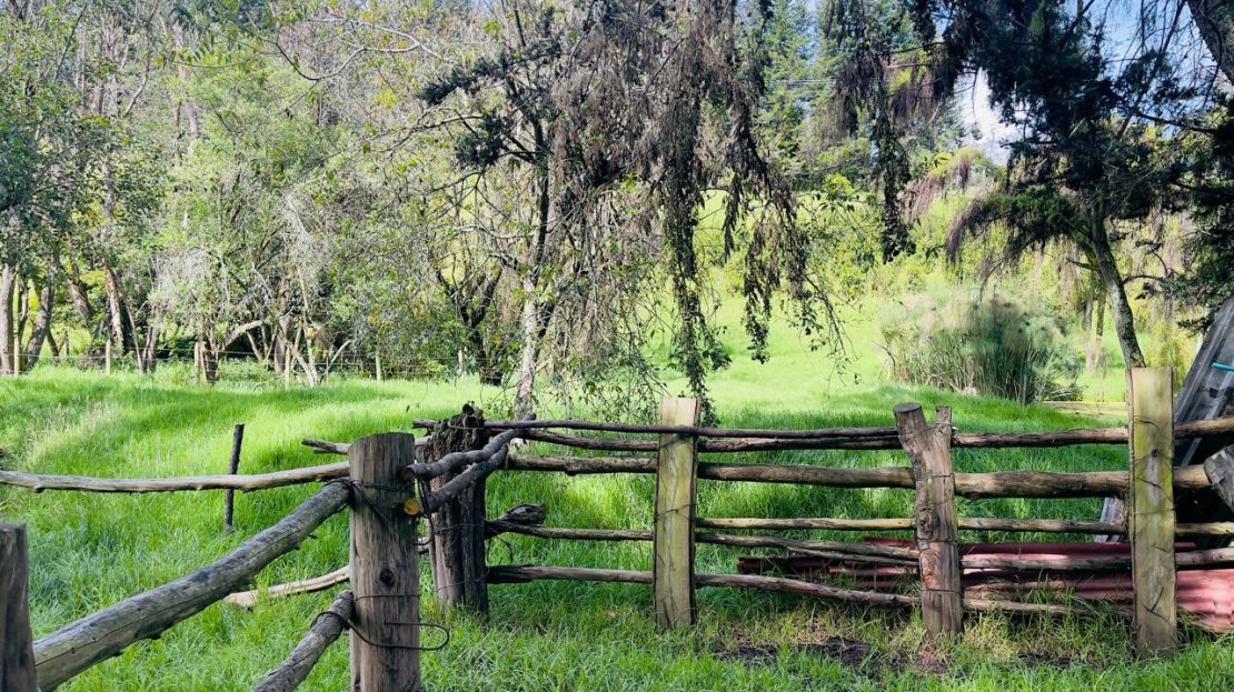 WhatsApp Image 2025 06 16 at 22.22.12 21