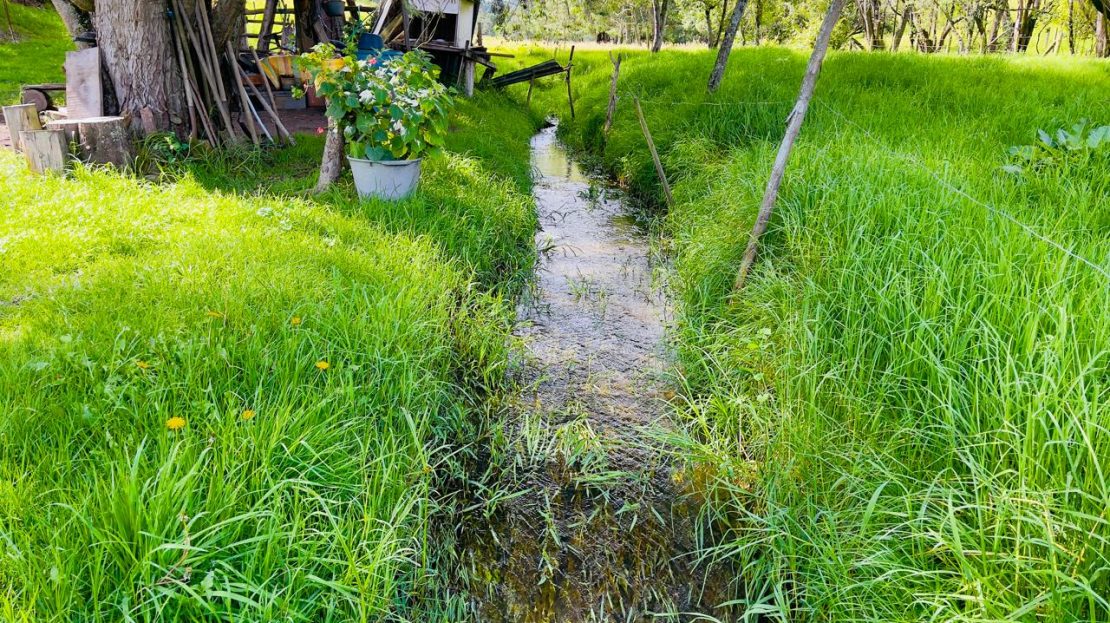 WhatsApp Image 2025 06 16 at 22.22.13 1