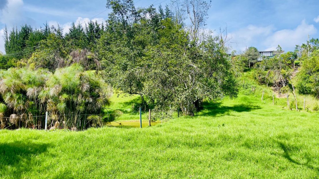 WhatsApp Image 2025 06 16 at 22.22.13 6