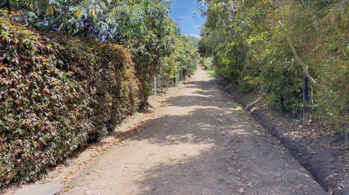 WhatsApp Image 2025 08 22 at 12.28.48 1