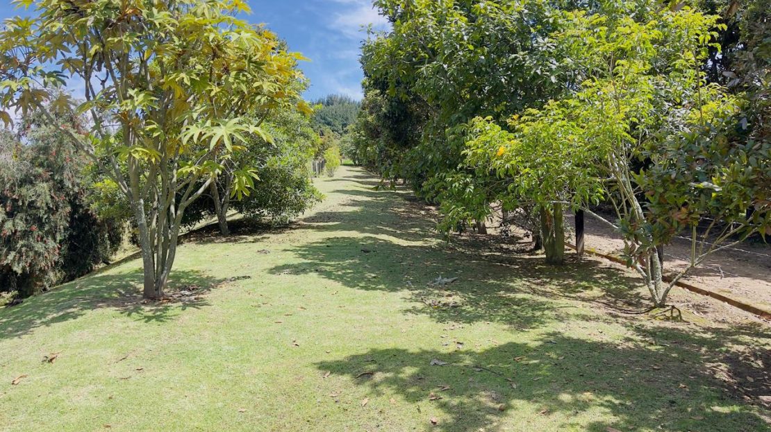 WhatsApp Image 2025 08 22 at 12.28.50 1