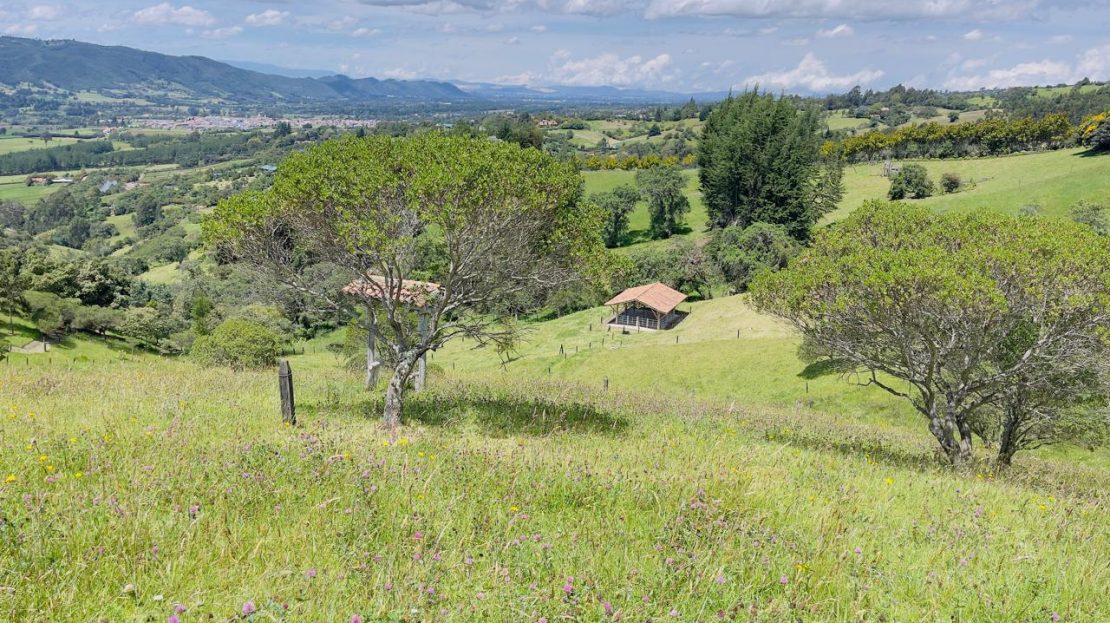 WhatsApp Image 2025 08 22 at 12.28.54