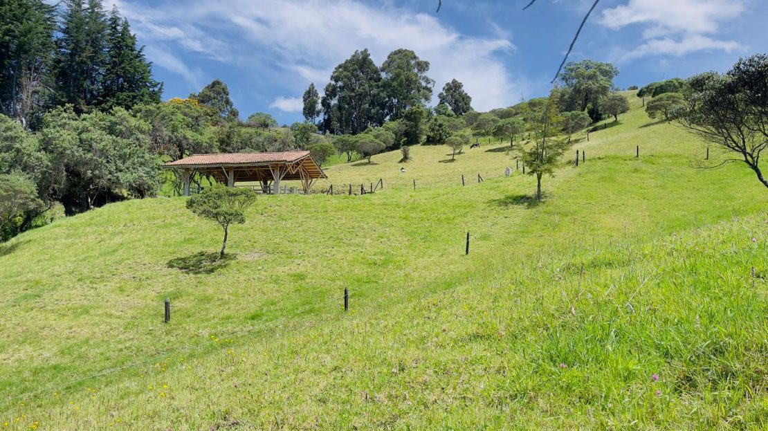 WhatsApp Image 2025 08 22 at 12.28.57 4