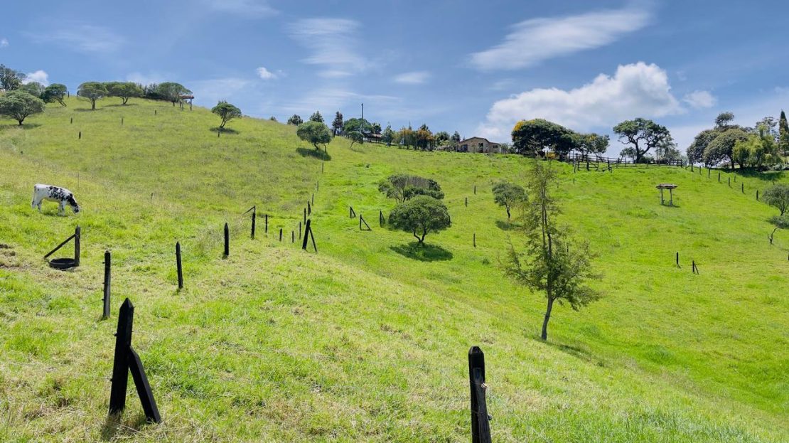 WhatsApp Image 2025 08 22 at 12.28.58 3